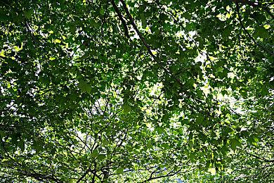 《直到黎明》重制版FSR 3.0帧生成＆光追＆HDR出问题